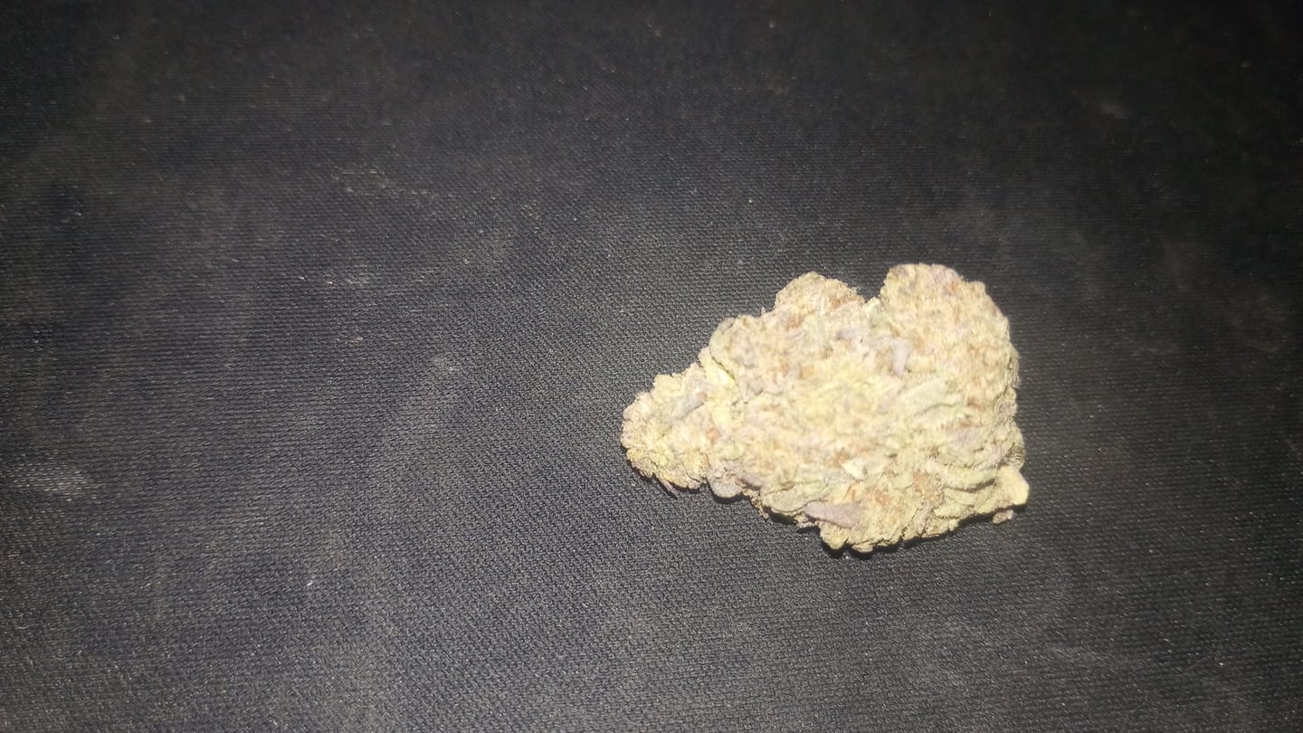 Customer photo review of Space Junkie