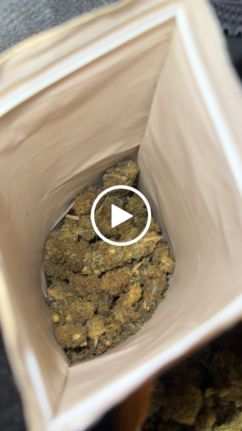 Customer video review of Mystery Box