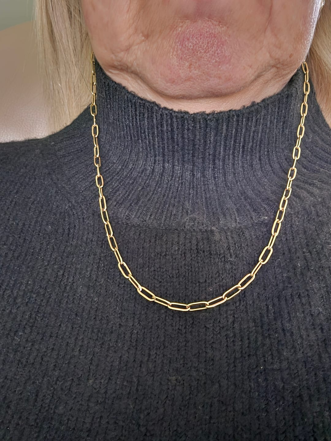 Customer photo review of Paperclip Necklace