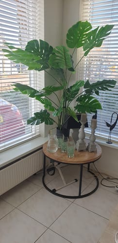 Customer photo review of Monstera Kunstplant 165cm