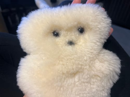 Customer photo review of cozy bear| tan