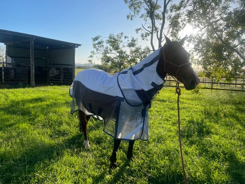 Customer photo review of LE Breeze Summer Sheet with Fieldsafe Front