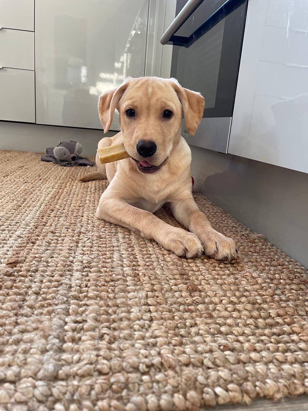 Customer photo review of Himalyan yak chew (SMALL)
