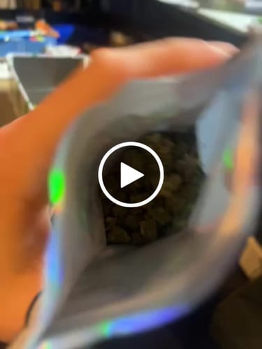 Customer video review of Greenhouse Smalls