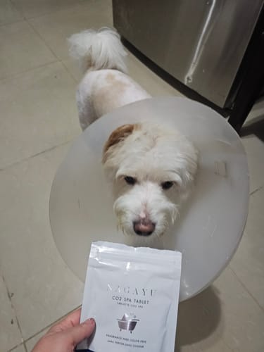 Customer photo review of CO2 Tablet For Canine Skincare | Lactic Acid | 10 Pack