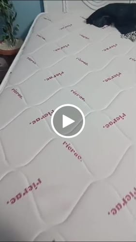 Customer video review of Memory Foam Mattress