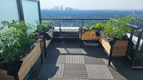 Customer photo review of Winter Covers for 30" Tall Raised Garden Beds