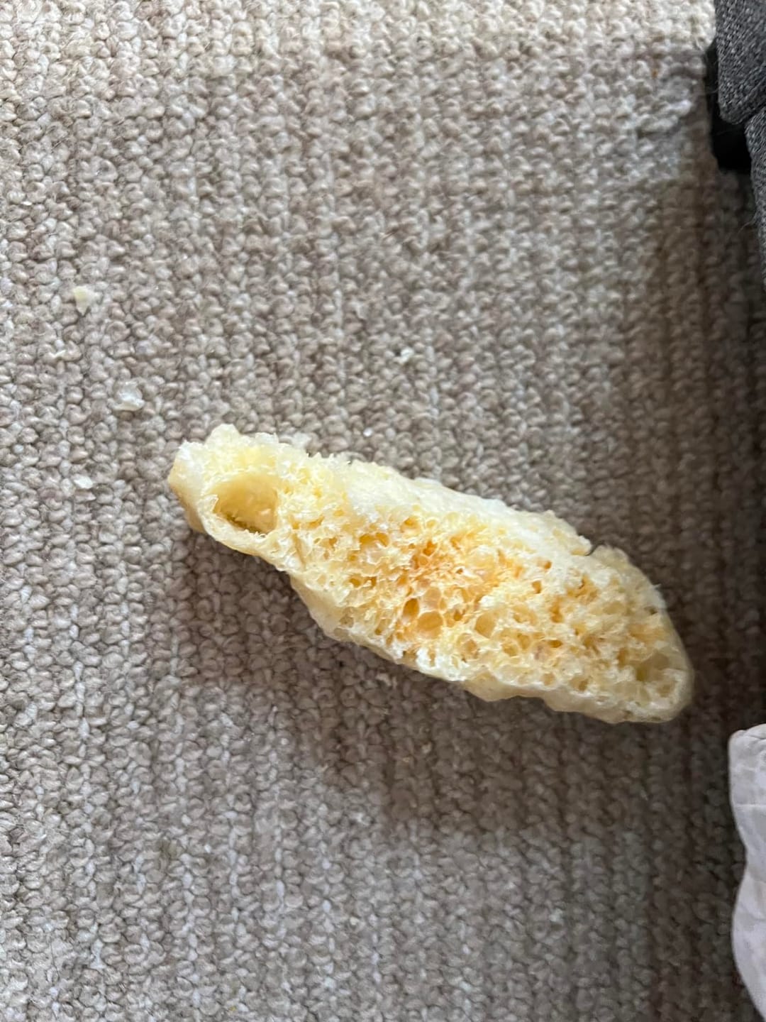 Customer photo review of Himalyan yak chew (SMALL)