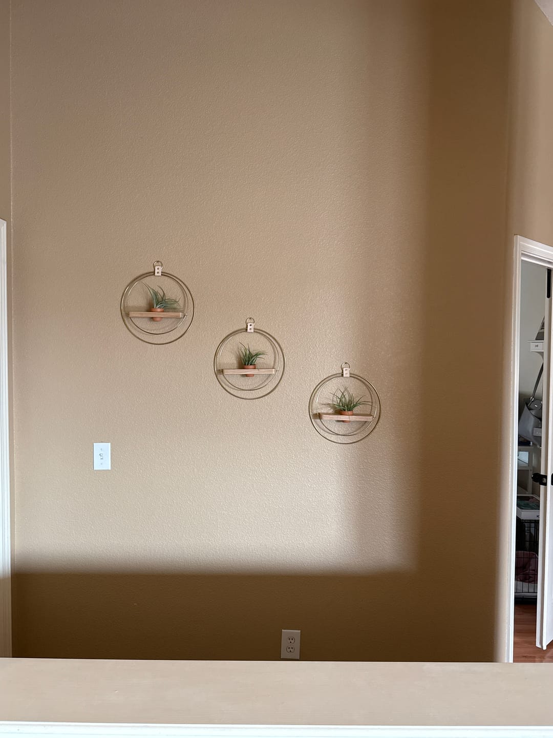 Customer photo review of Air Plant Shelf + Pot Trio