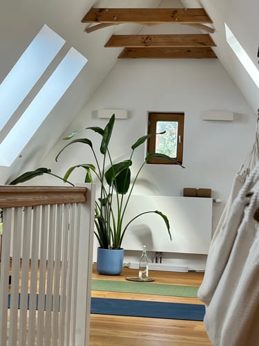 Erik O. review of Snake Pull-Up Bar - Klimmzugstange für die Montage an der Wand image 1 out of 1