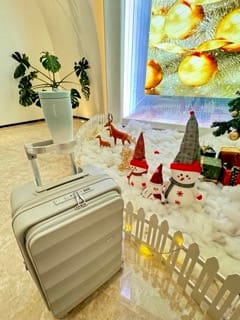 Customer photo review of Bigger Tank Carry-On in Harbor Mist