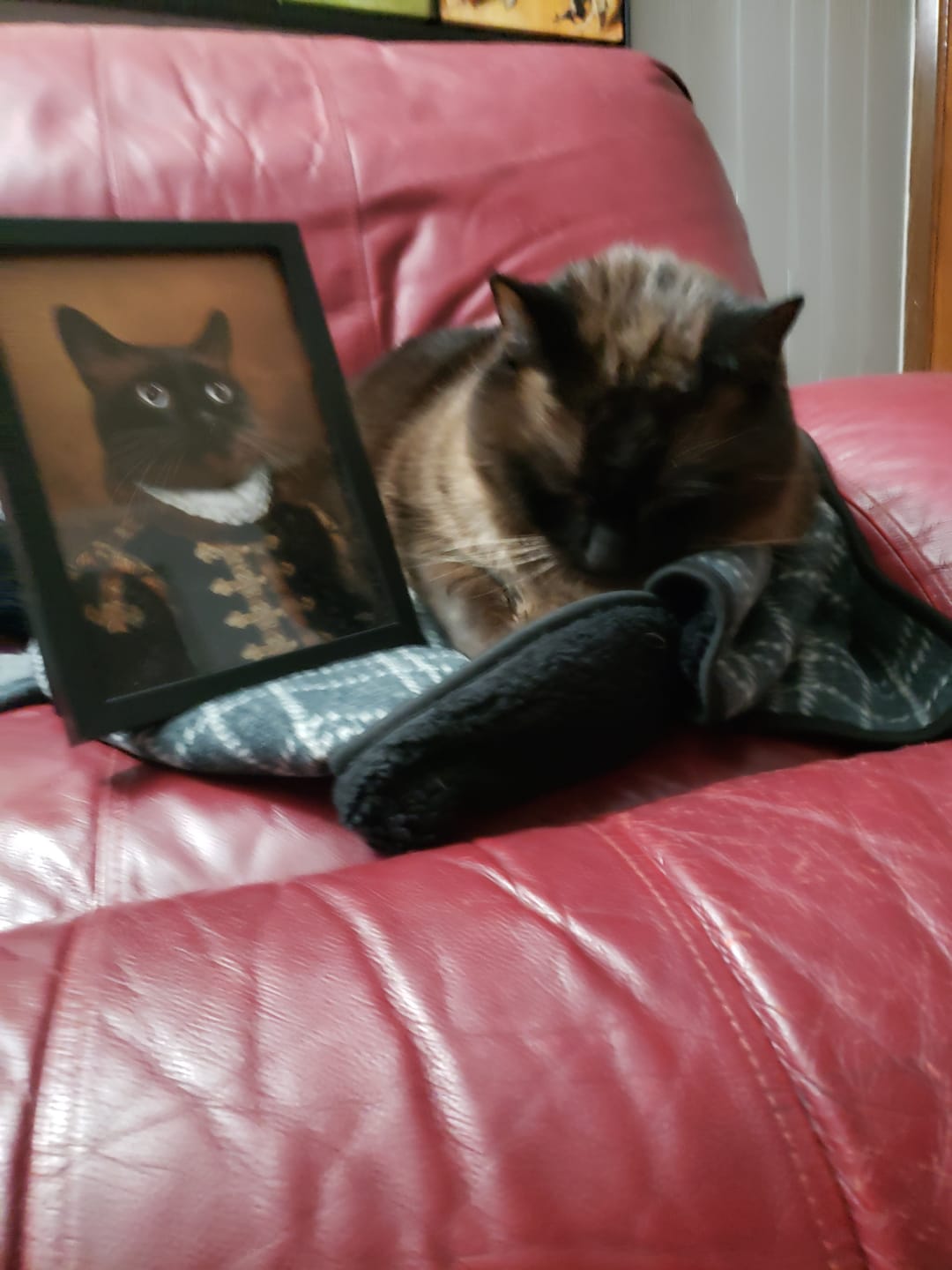 Customer photo review of The Count: Custom Pet Portrait