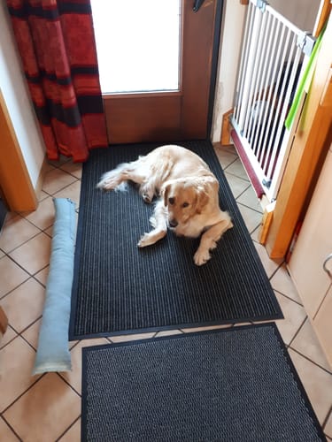 Customer photo review of Shiny Hair