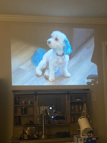 Customer photo review of FlexBeam