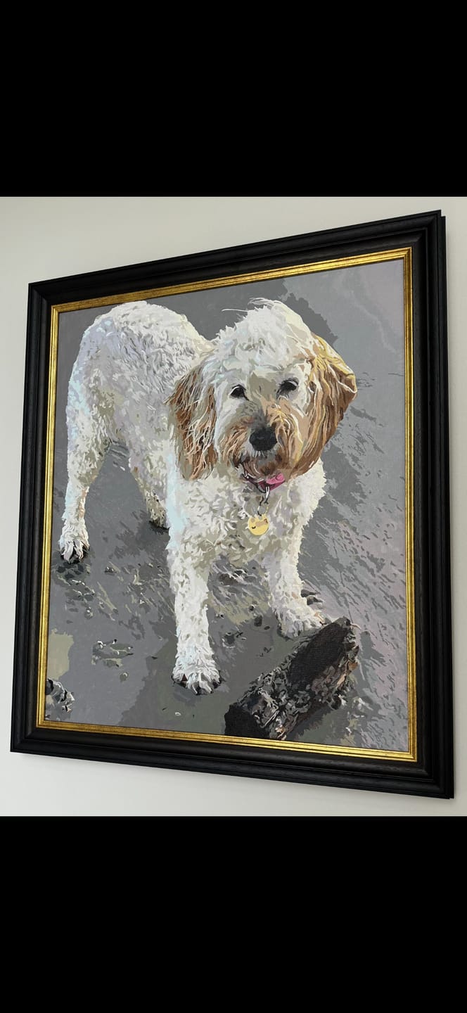 Customer photo review of Paint by Numbers Custom Kit