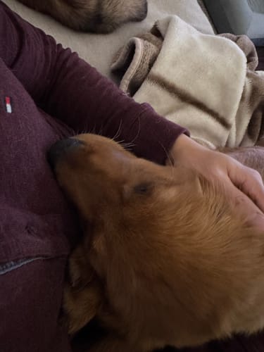 Customer photo review of Conversation Heart Embroidered Bandana