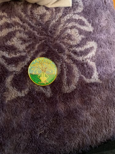Customer photo review of 1 to 40 Year Tree of Life Specialty NA Recovery Medallion - Tri-Plated Chip/Coin