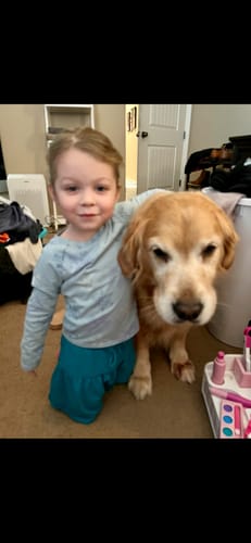 Customer photo review of GCP Flea & Tick Natural Defense for Dogs - 100 Soft Chews