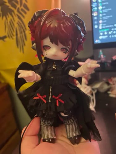 Customer photo review of Antu Spirit of the Book Series Winter Limited Figure【Shipped in Jan. 2025】