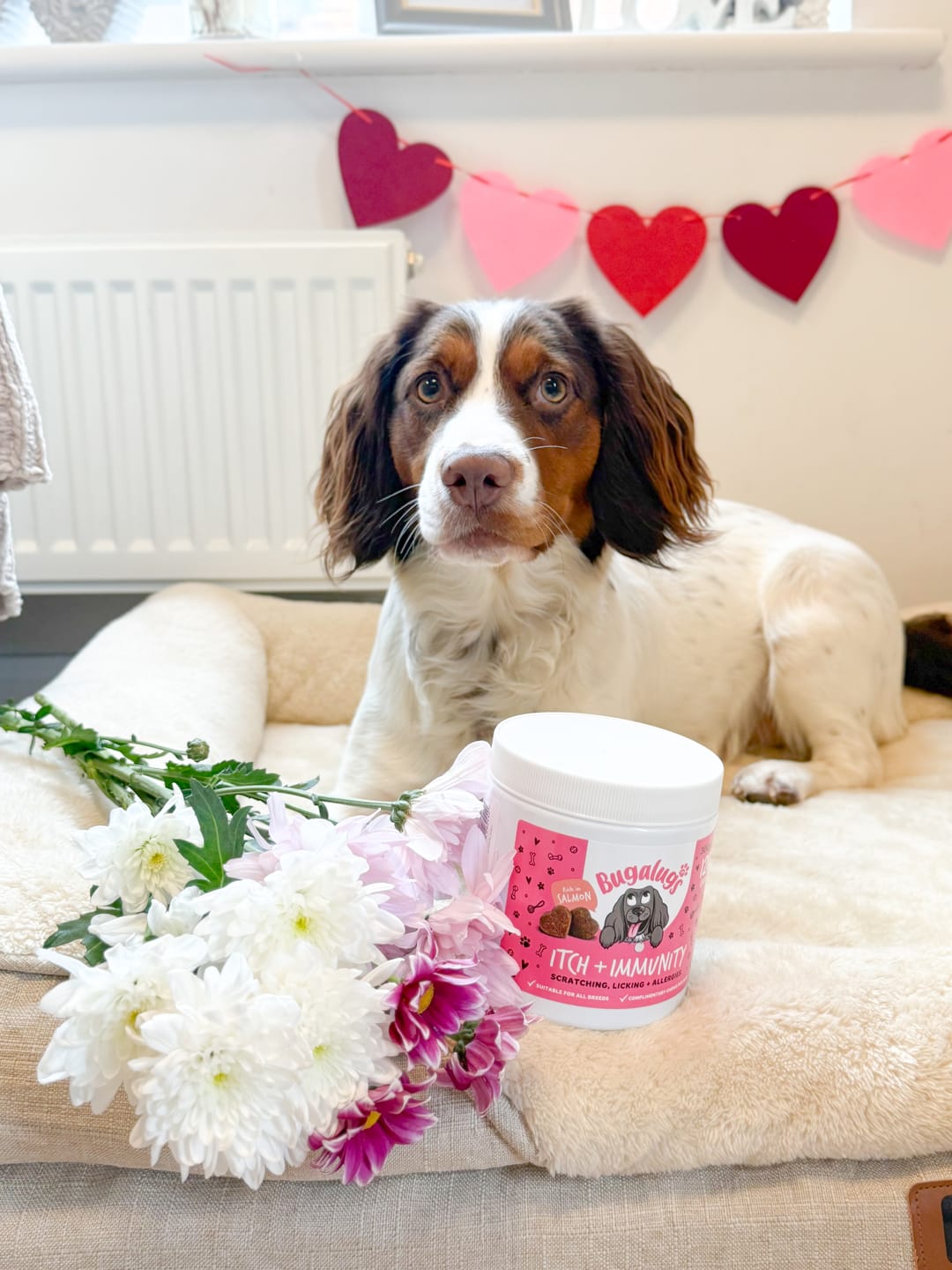 Customer photo review of Itch + Immunity Supplement Chews for Dogs