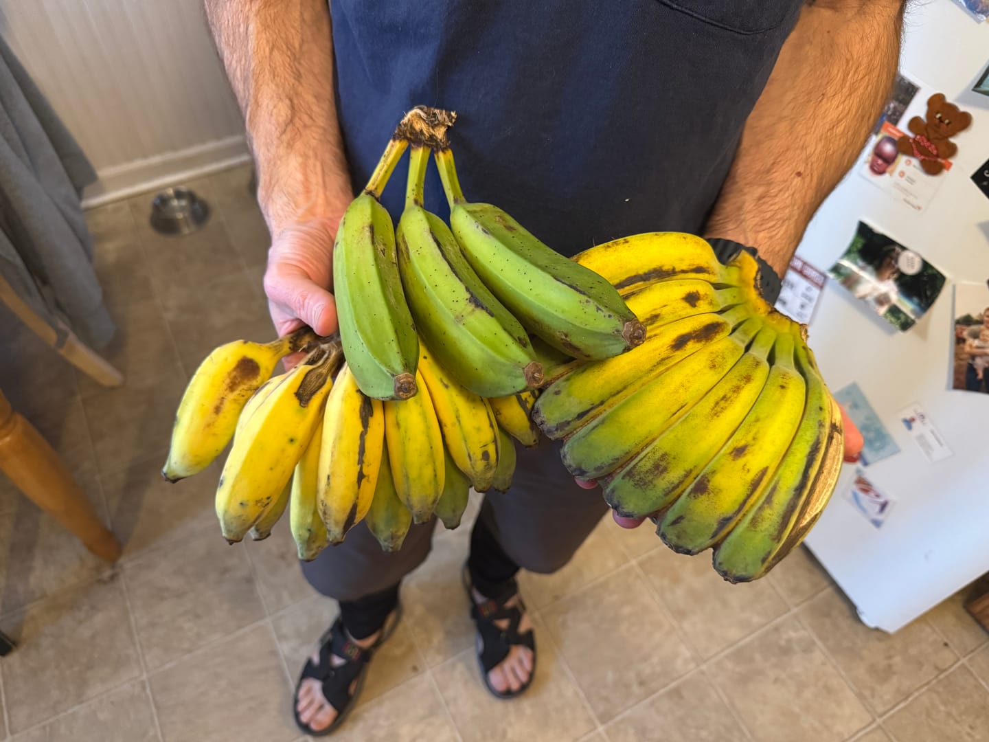 Customer photo review of Banana Variety Box