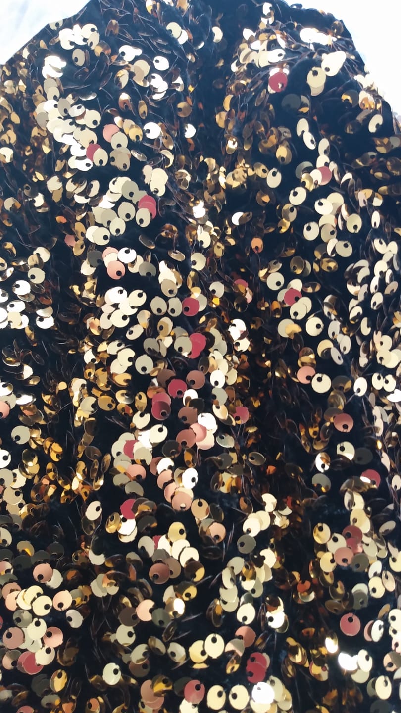 Customer photo review of Heavy Sequin Velvet Fabric