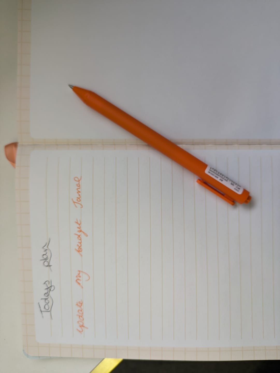 Customer photo review of Gel Pen - PYO