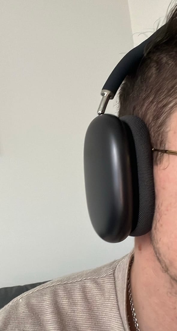Customer photo review of Pods Max