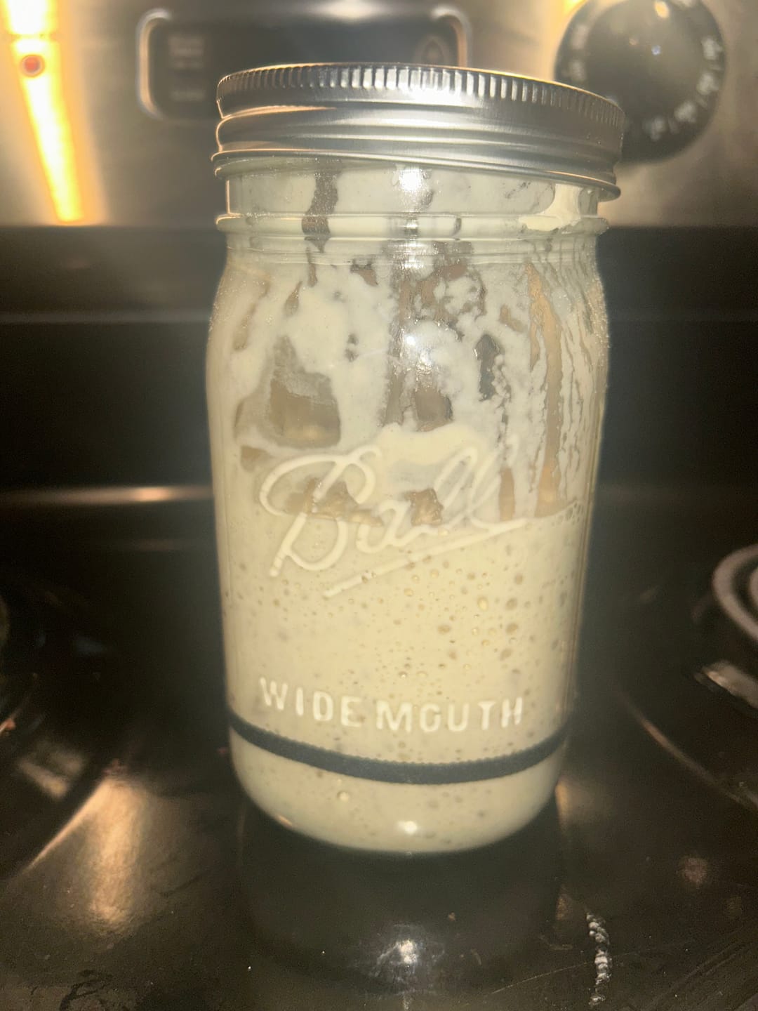 Customer photo review of Dehydrated Sourdough Starter Kit