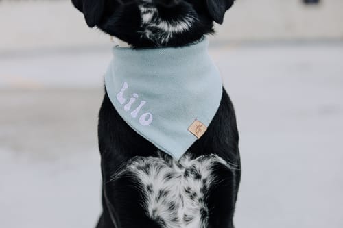 Customer photo review of Custom Name Embroidered Bandana