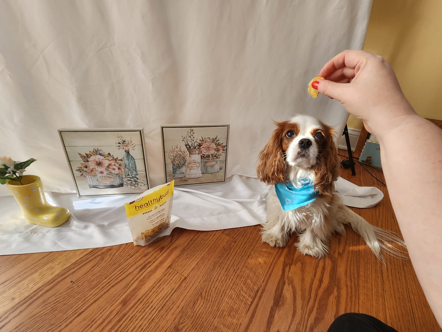 Customer photo review of Banana Chips