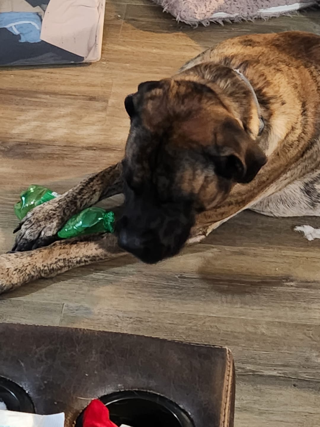 Customer photo review of 12 Inch Beef Jerky Stick