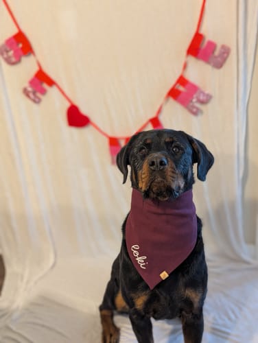 Customer photo review of Custom Name Embroidered Bandana