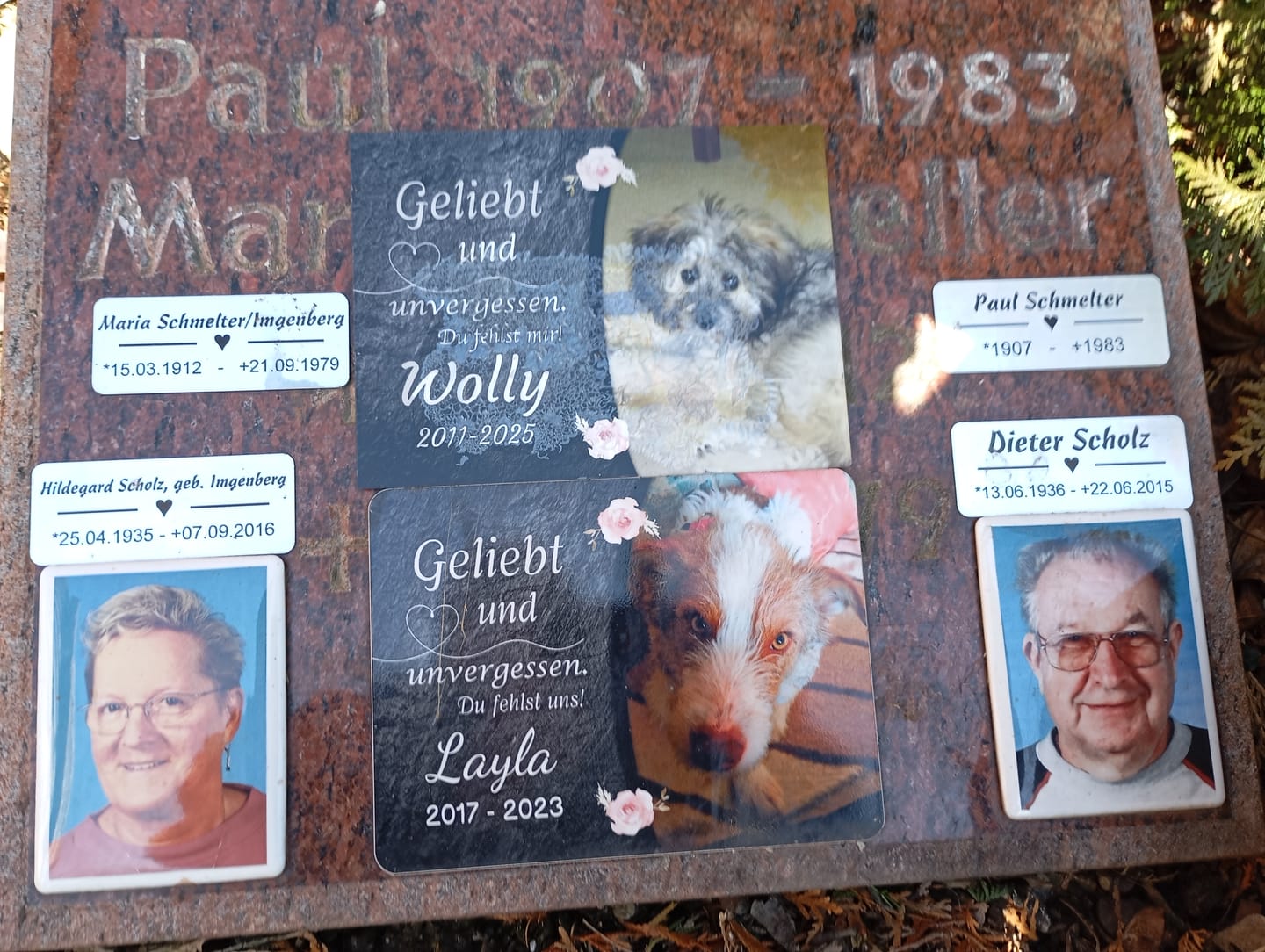 Customer photo review of Hunde Gedenktafel mit Foto & Spruch (UV- & Wetterfest)