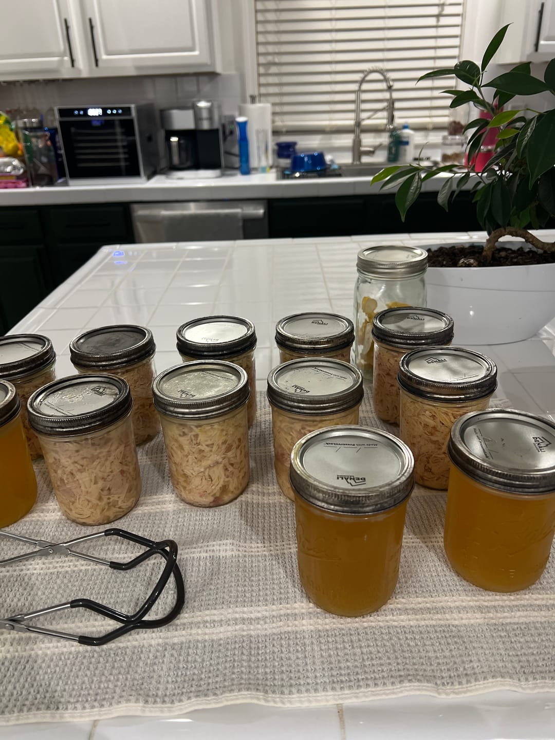 Customer photo review of Case of 20 – Denali Lids – 12 Canning Lids Per Pack – Wide Mouth