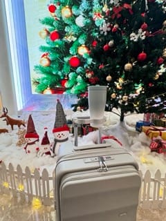 Customer photo review of Bigger Tank Carry-On in Harbor Mist