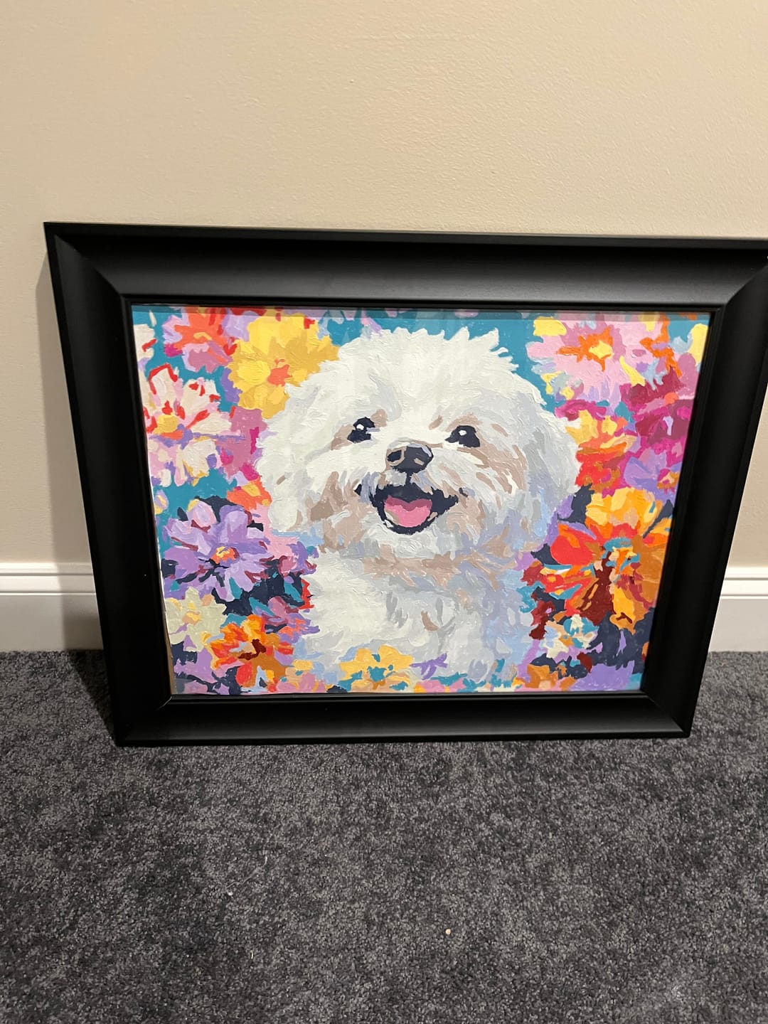 Customer photo review of Bichon Frise