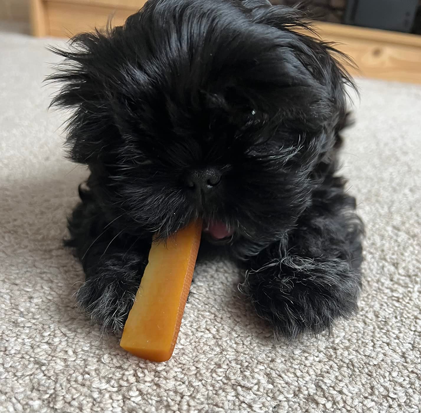 Customer photo review of Himalyan yak chew (SMALL)