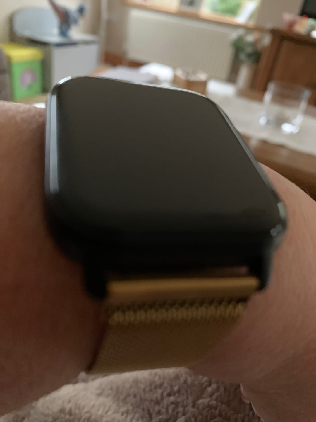 Customer photo review of Gold Milanese Loop