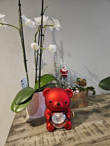 Customer photo review of Ours Rose Éternelle avec Collier Gravé - Une double surprise que votre chérie appréciera
