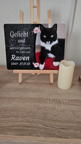 Customer photo review of Katzen Gedenktafel mit Foto & Spruch (UV- & Wetterfest)