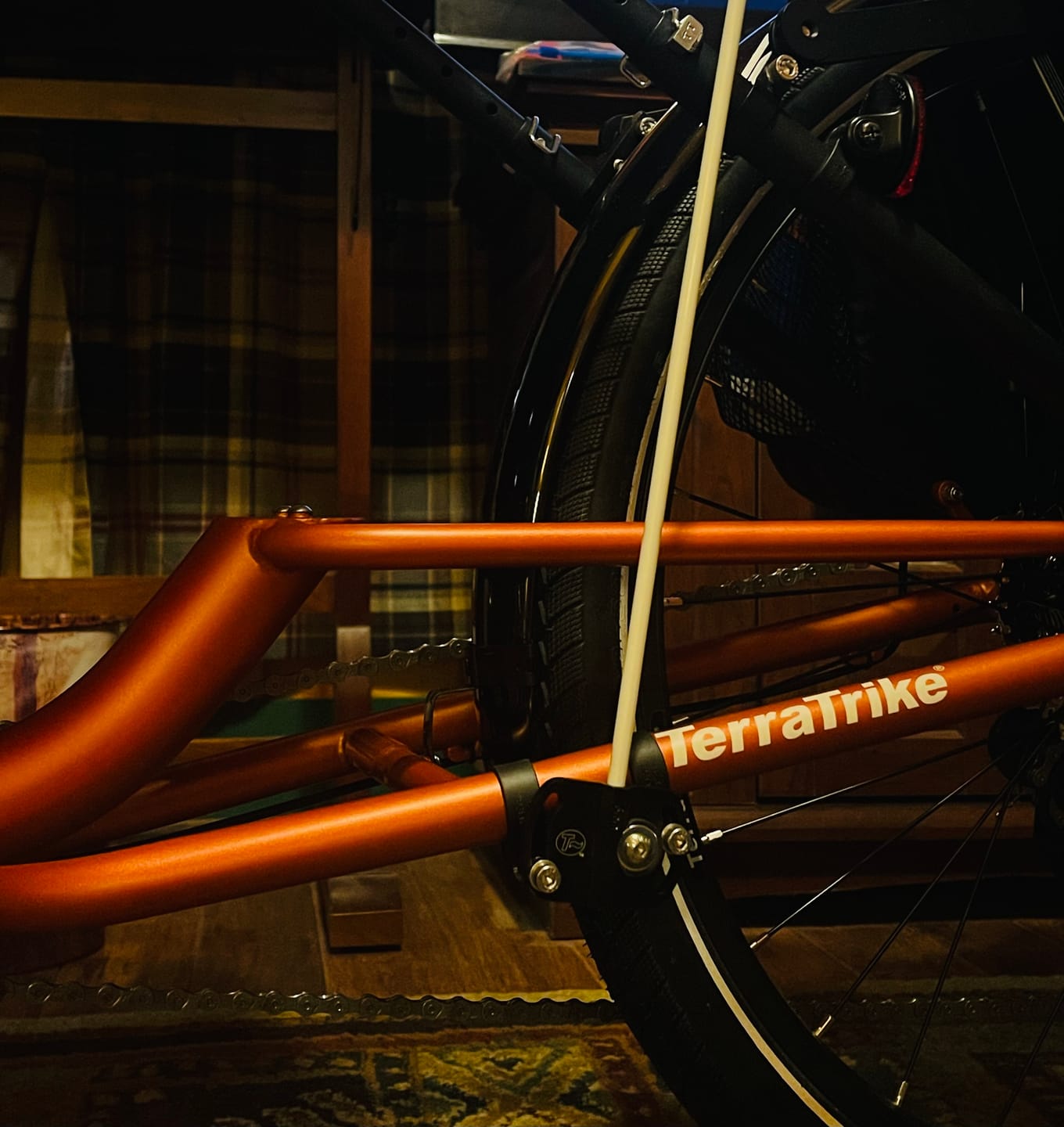 Customer photo review of T-Cycle Flag Mount