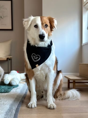 Customer photo review of Conversation Heart Embroidered Bandana