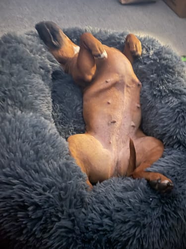 Customer photo review of CalmBed - Motverkar stress & hjälper mot ångest