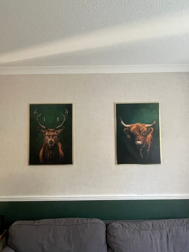 Customer photo review of Highlands Set of 2 Prints