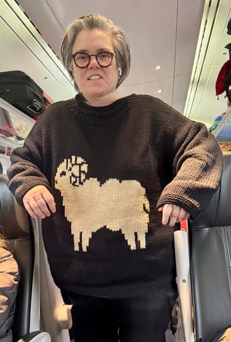 Customer photo review of Aries Jumper