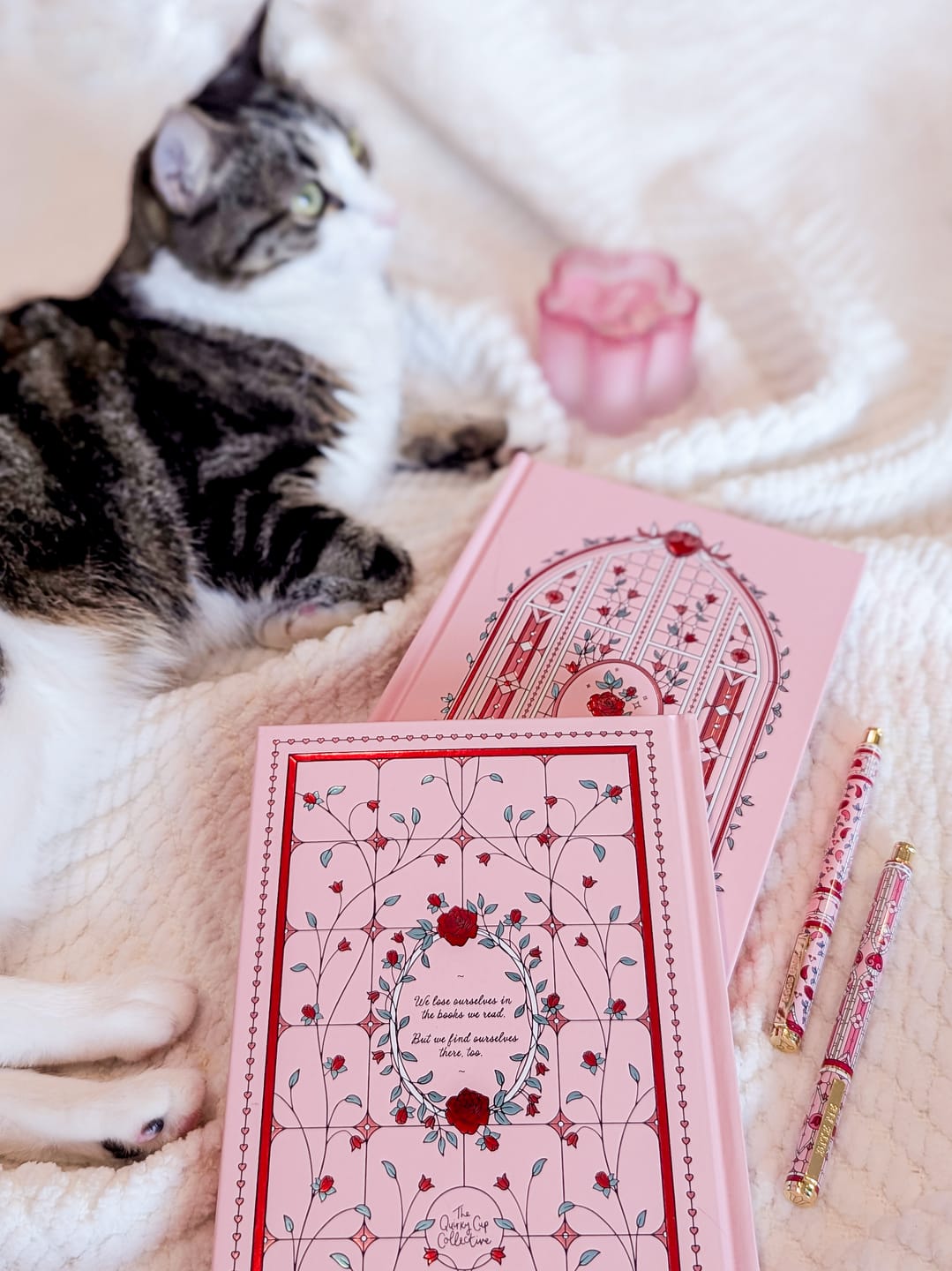 Customer photo review of Everything Nice Reading Companion
