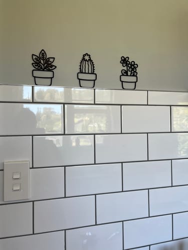 Customer photo review of Mini Plant Pots Wall Art