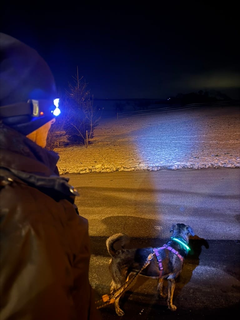 Customer photo review of Adventure Light - das Original