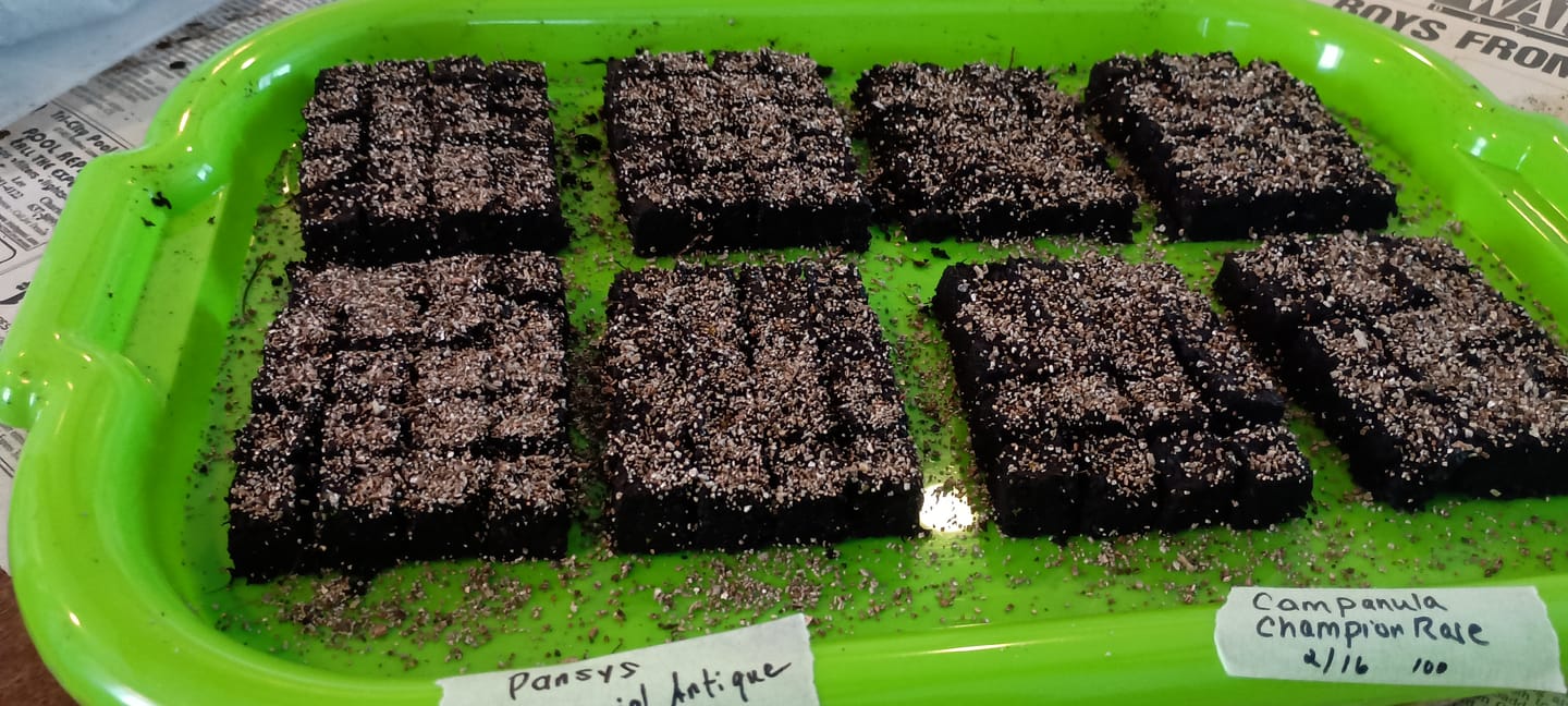 Customer photo review of Soil Block Maker Small 20 Cells